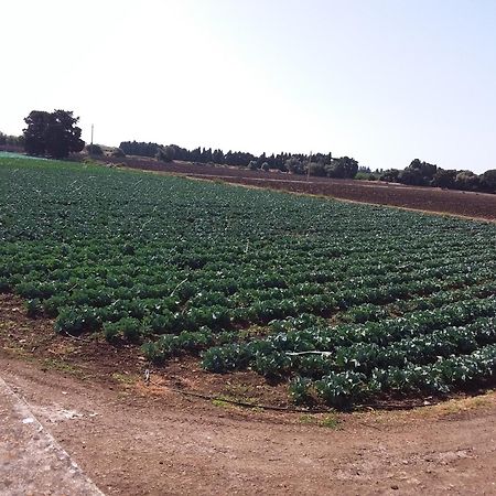 Antica Gebbia ξενώνας Συρακούσες Εξωτερικό φωτογραφία