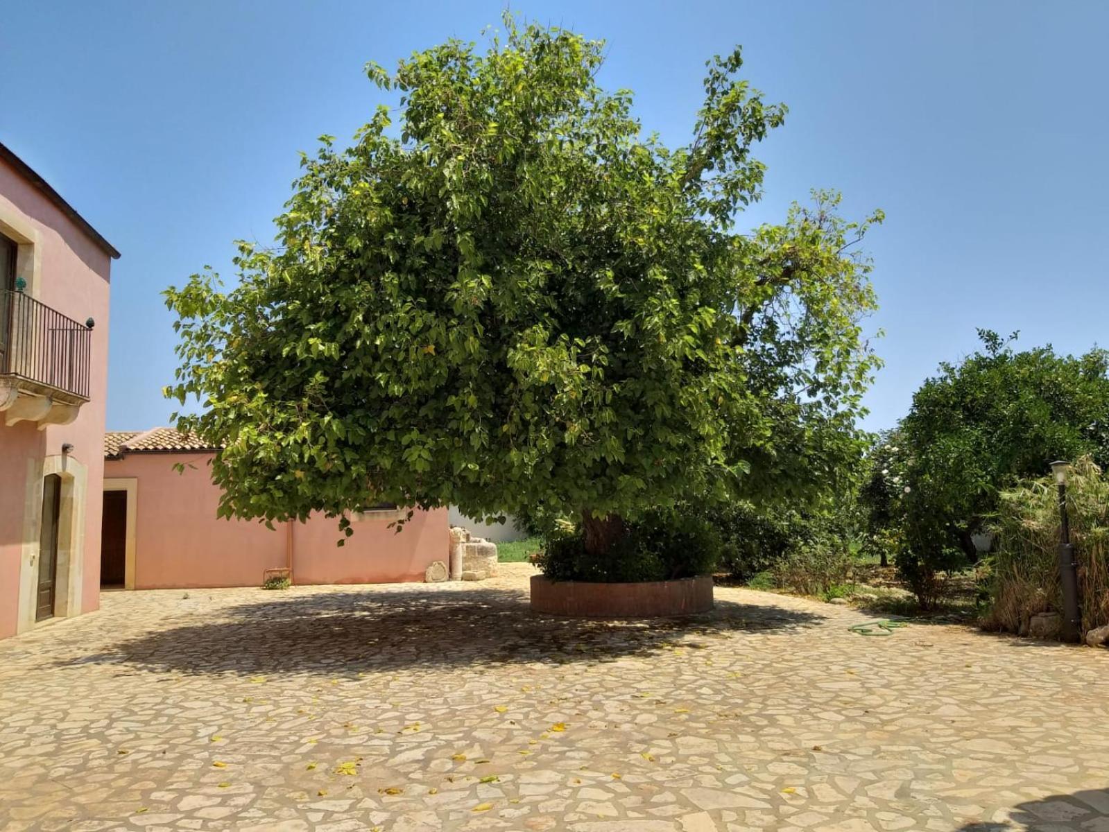 Antica Gebbia ξενώνας Συρακούσες Εξωτερικό φωτογραφία